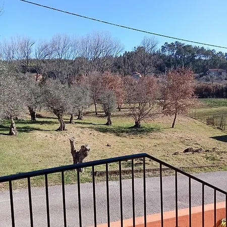 Local - Casa Amarela