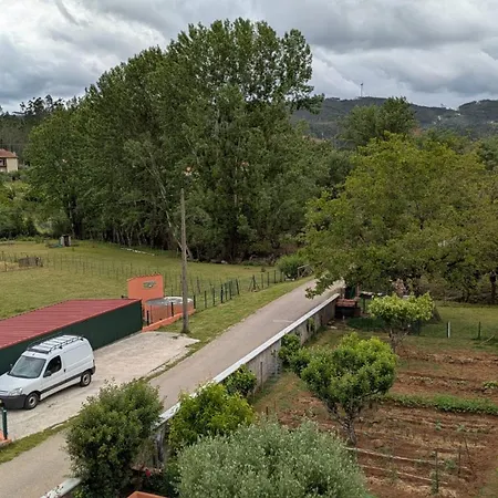 Local - Casa Amarela * Alvaiázere