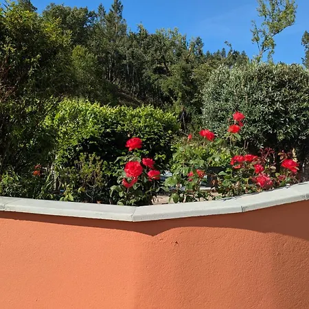 Local - Casa Amarela