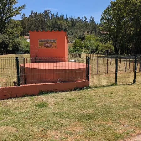 Local - Casa Amarela
