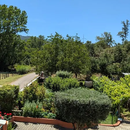 Local - Casa Amarela