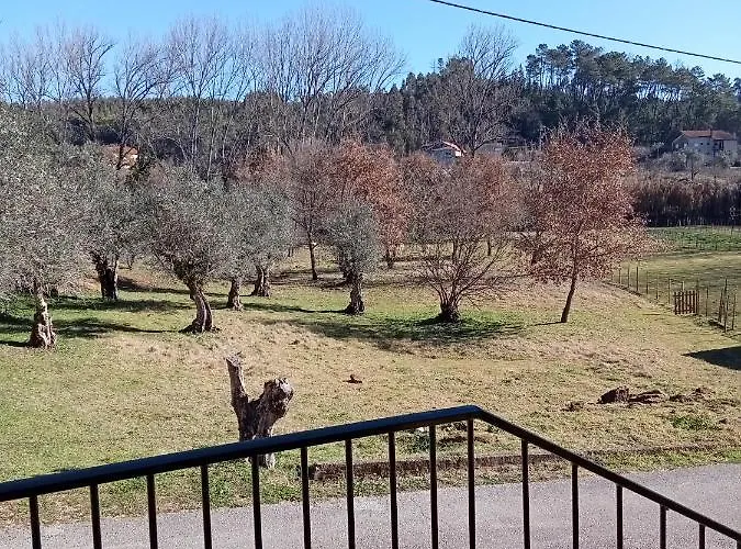 Local - Casa Amarela