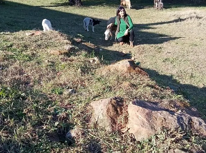 Local - Casa Amarela