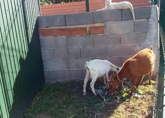 Appartement Local - Casa Amarela